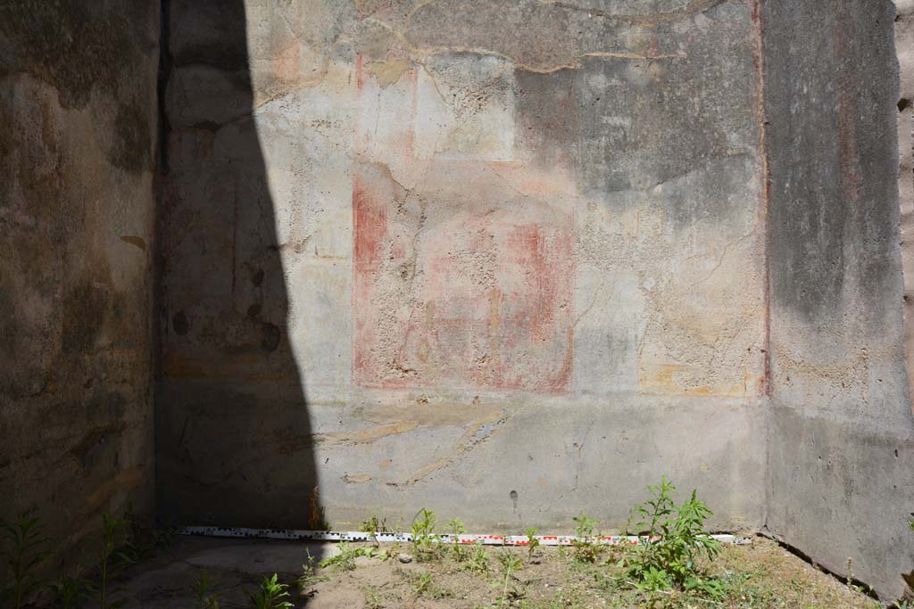 IX.5.11 Pompeii. May 2017. Room d, lower north wall.
Foto Christian Beck, ERC Grant 681269 DCOR.
This room would have been decorated in the IVth Style, on the north wall the zoccolo and plinth were on a black background.
Painted vases were seen in the centre of the panelled black zoccolo, with vine-branches at the sides.
The middle zone, painted on a red background had a painted central panel, and white side panels with vignettes.
In the upper zone were painted figures between architecture. 

