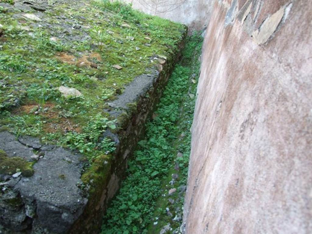 IX.5.11 Pompeii.  December 2007. Room 15.  Garden area.  Triclinium and south wall.