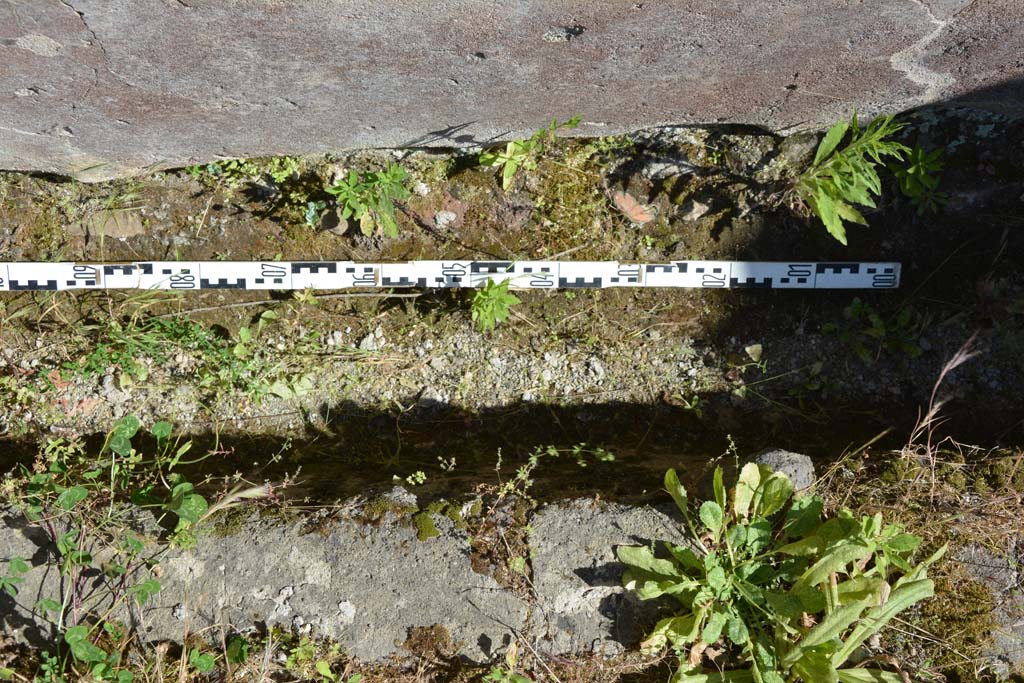 IX.5.11 Pompeii. May 2017. Peristyle n, detail from rear of triclinium.
Foto Christian Beck, ERC Grant 681269 DCOR.

