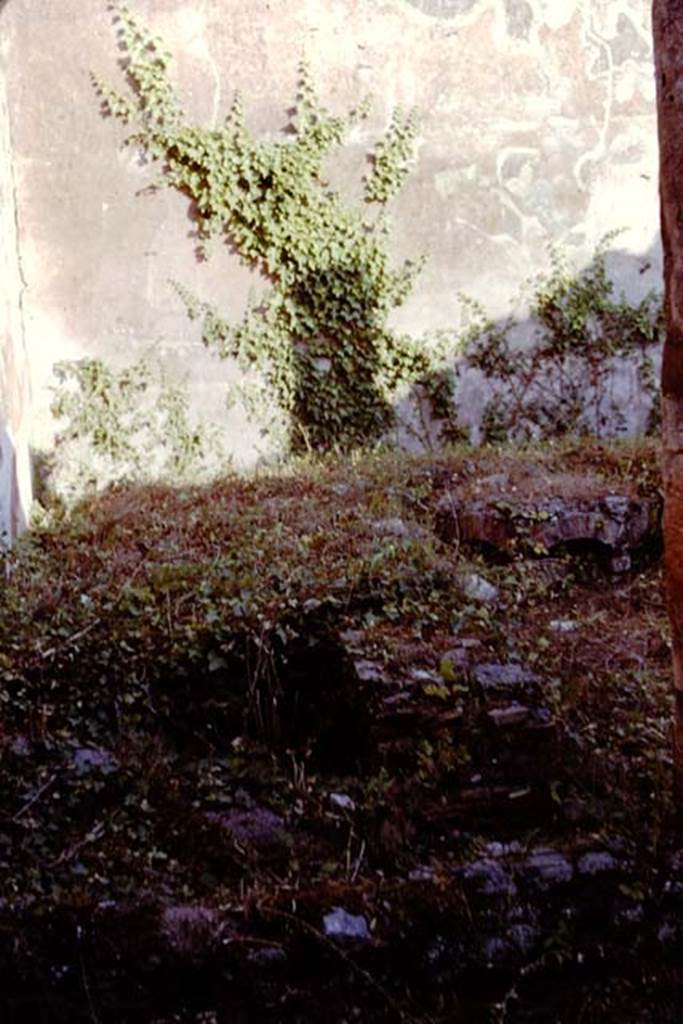 IX.5.11 Pompeii. 1961. Room 15, looking towards south wall in triclinium. 
Photo by Stanley A. Jashemski.
Source: The Wilhelmina and Stanley A. Jashemski archive in the University of Maryland Library, Special Collections (See collection page) and made available under the Creative Commons Attribution-Non Commercial License v.4. See Licence and use details.
J61f0769
