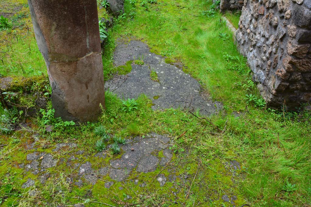 IX.5.11 Pompeii. March 2017. Peristyle n, detail of flooring, looking south from west side of peristyle.
Foto Christian Beck, ERC Grant 681269 DÉCOR.
