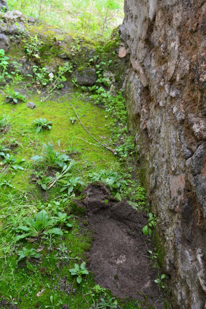 IX.5.11 Pompeii. March 2017. Room u, looking east along south wall in room under stairs.
Foto Christian Beck, ERC Grant 681269 DCOR.
