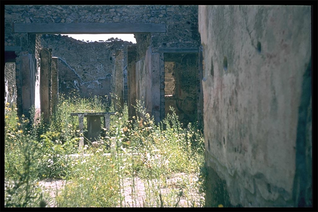 IX.5.11 Pompeii. Atrium. Looking south across impluvium to tablinum, from entrance.
Photographed 1970-79 by Günther Einhorn, picture courtesy of his son Ralf Einhorn.
