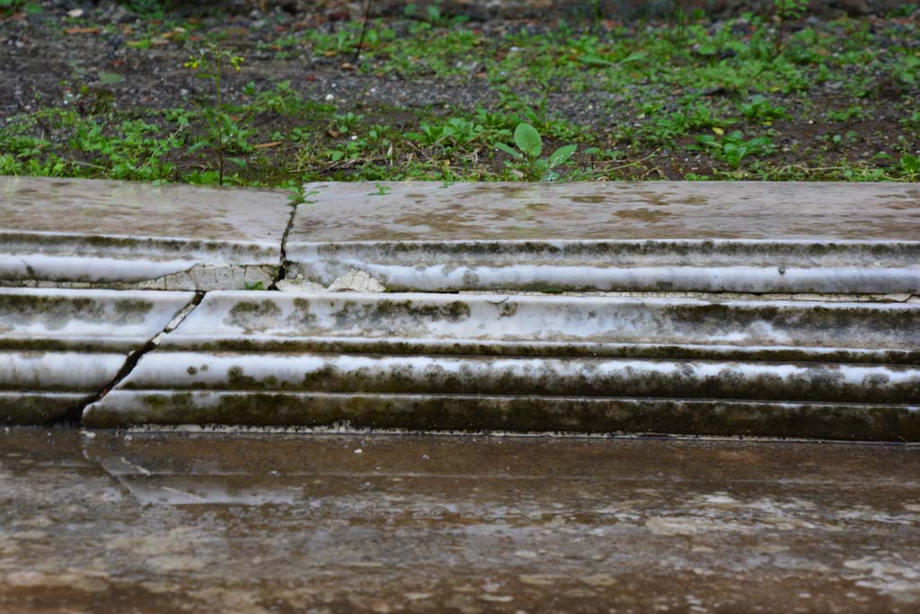 IX.5.11 Pompeii. March 2017. Atrium b, detail from east side of impluvium.
Foto Christian Beck, ERC Grant 681269 DÉCOR.
