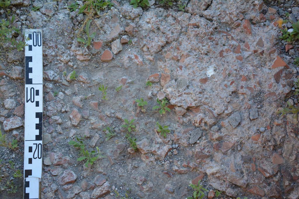 IX.5.11 Pompeii. May 2017. Room h, detail of flooring.
Foto Christian Beck, ERC Grant 681269 DCOR.

