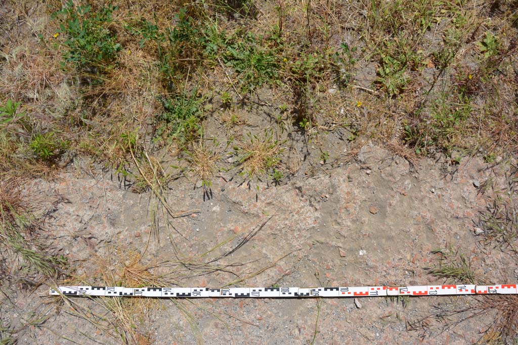 IX.5.11 Pompeii. May 2017. Room l (L), detail of flooring at south end of tablinum.
Foto Christian Beck, ERC Grant 681269 DCOR.
