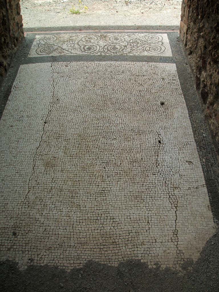 IX.5.14 Pompeii. May 2005. Entrance fauces “a”, mosaic floor, looking west from entrance doorway.