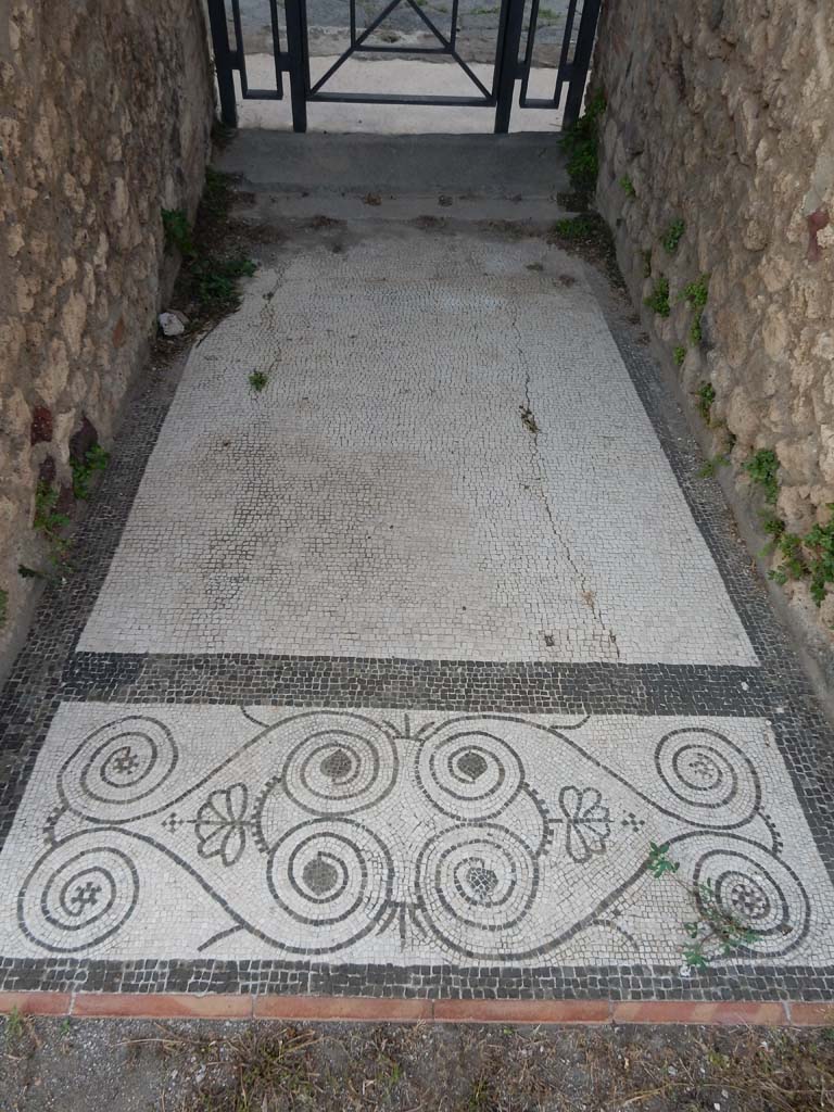 IX.5.14 Pompeii. June 2019.
Looking east across mosaic floor of fauces (room “a”), from atrium towards entrance doorway.
Photo courtesy of Buzz Ferebee.
