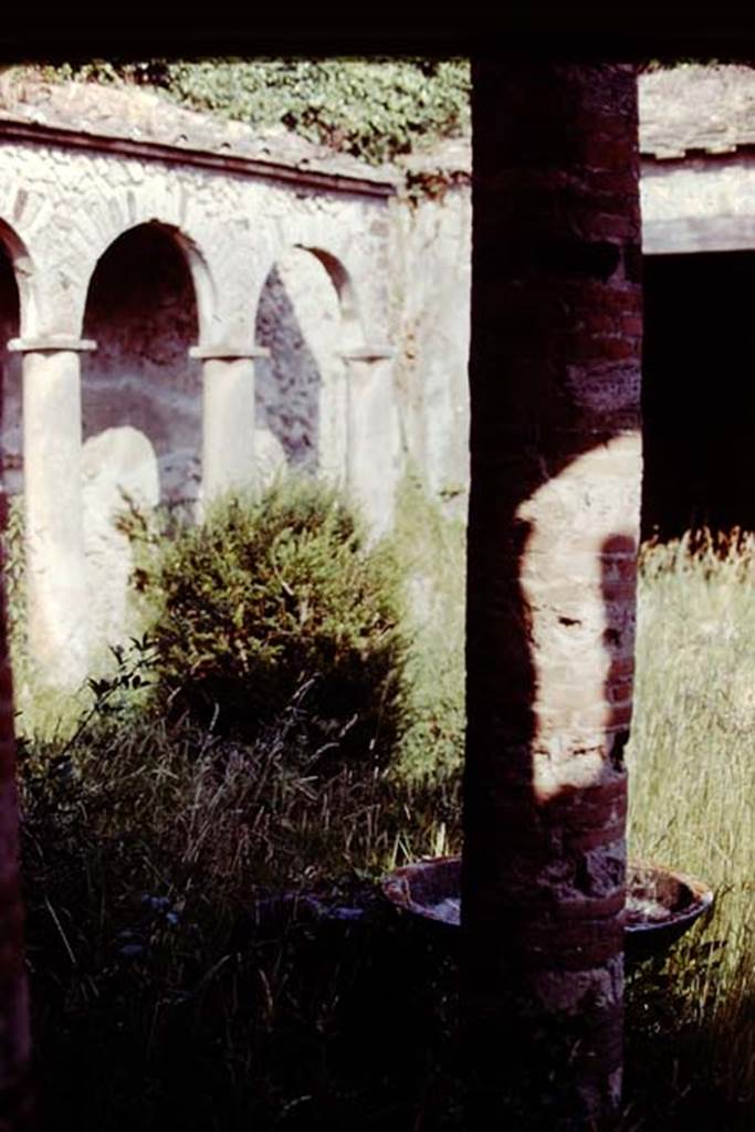 IX.7.20 Pompeii, 1978. Looking south-east across peristyle. Photo by Stanley A. Jashemski.   
Source: The Wilhelmina and Stanley A. Jashemski archive in the University of Maryland Library, Special Collections (See collection page) and made available under the Creative Commons Attribution-Non Commercial License v.4. See Licence and use details. J78f0224
