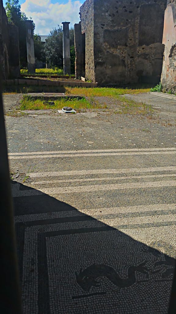 IX.8.6 Pompeii. 2016/2017. 
Looking south-west from entrance doorway across mosaic floor in atrium.
Photo courtesy of Giuseppe Ciaramella.
