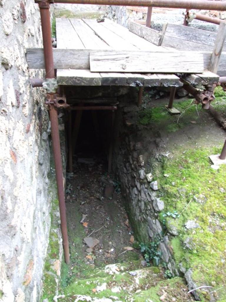 IX.8.6 Pompeii. March 2009.  Stairs to cellar on east side of Room 28.