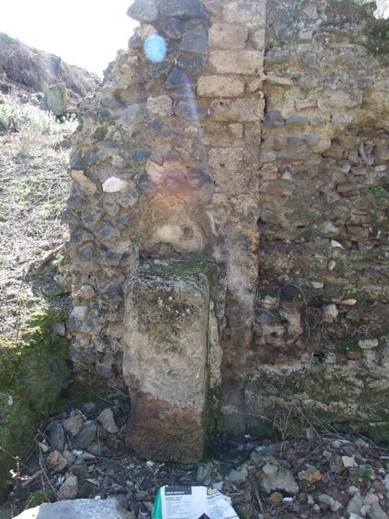 IX.8.8 Pompeii. March 2009. Street Altar on north side of entrance doorway.  According to Della Corte, this street altar was dedicated to the god Salus, as shown by the painted epigraph – Salutis  e  Salutei  sacrum     [CIL IV 3774 a,b]    Also found on the right (north) of the entrance, was a recommendation – Primigenia  rog(at)     [CIL IV 3773]
See Della Corte, M., 1965.  Case ed Abitanti di Pompei. Napoli: Fausto Fiorentino. (p.165)
According to Epigraphik-Datenbank Clauss/Slaby (See www.manfredclauss.de), these read – 
Salutis
/Salutei
sacrum      [CIL IV 3774 ] 

Q(uintum)  B[ru]ttium  Balbu[m]
[6]
Iul[ia  Pri]migenia  ro(gat)
[3]a  et 
M[3]  aera    [CIL IV 3773]
According to Cooley, this translates to – “Sacred to the Well-being”   [CIL IV 3774].  Above the street altar was a painting of two horns-of-plenty and a garland.  See Cooley, A. and M.G.L., 2004. Pompeii : A Sourcebook. London : Routledge. (p.109) 
According to Helbig, this was the only altar found that was not dedicated to the street gods. On the wall above two cornucopias, the words “Salutei Sacrum” (Sacred to Salus) were painted – the Goddess of Health was worshipped here.  See Helbig, W., 1868. Wandgemälde der vom Vesuv verschütteten Städte Campaniens. Leipzig: Breitkopf und Härtel. (p.235)
