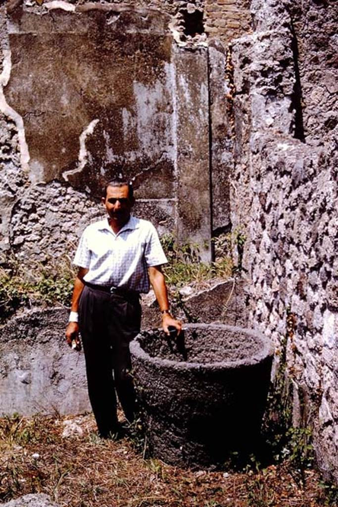 IX.9.6 Pompeii. 1964. Pot in north-east corner, looking north. At the rear is the east portico, and a room belonging to IX.9.9 can be seen behind the broken wall. Photo by Stanley A. Jashemski.
Source: The Wilhelmina and Stanley A. Jashemski archive in the University of Maryland Library, Special Collections (See collection page) and made available under the Creative Commons Attribution-Non Commercial License v.4. See Licence and use details.
J64f2041
