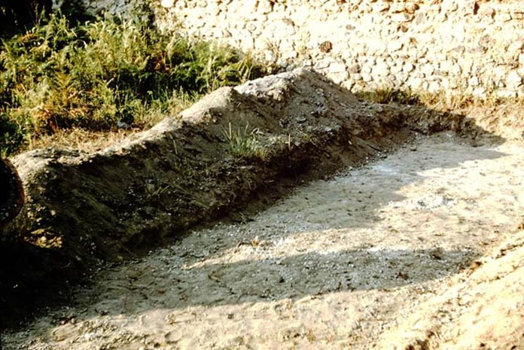 IX.9.6/10 Pompeii. 1961. Looking north-east at east end of trench, where about a foot of soil (approx.0.30m) has been slowly removed.   Photo by Stanley A. Jashemski.
Source: The Wilhelmina and Stanley A. Jashemski archive in the University of Maryland Library, Special Collections (See collection page) and made available under the Creative Commons Attribution-Non Commercial License v.4. See Licence and use details.
J61f0810
