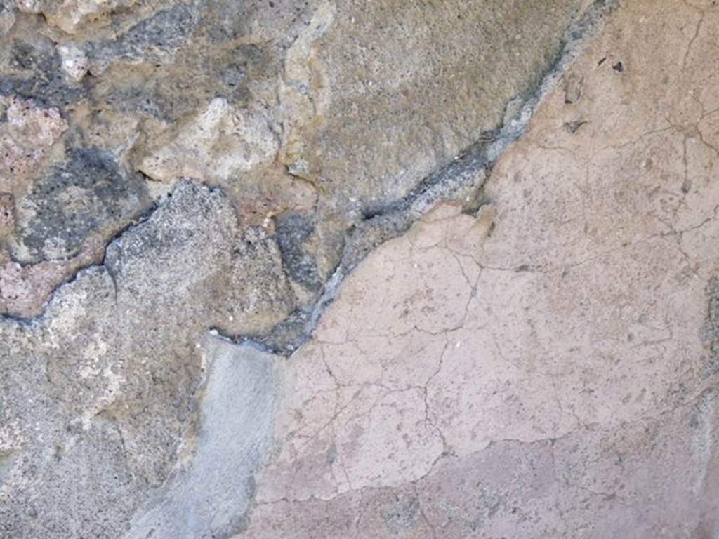 IX.9.11 Pompeii.  March 2009.  Plaster on west wall of atrium, between doorways to Rooms 6 and 5.