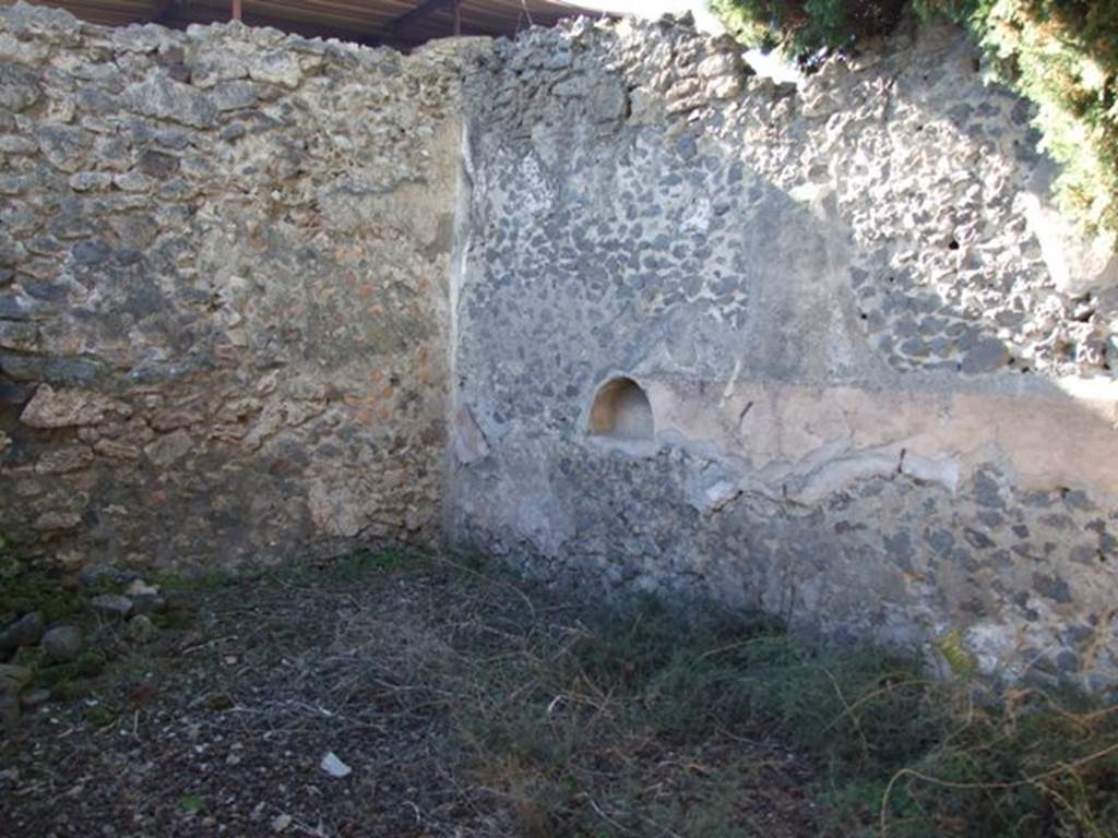 IX.9.11 Pompeii.  March 2009.  Room 7. North west corner of Triclinium.