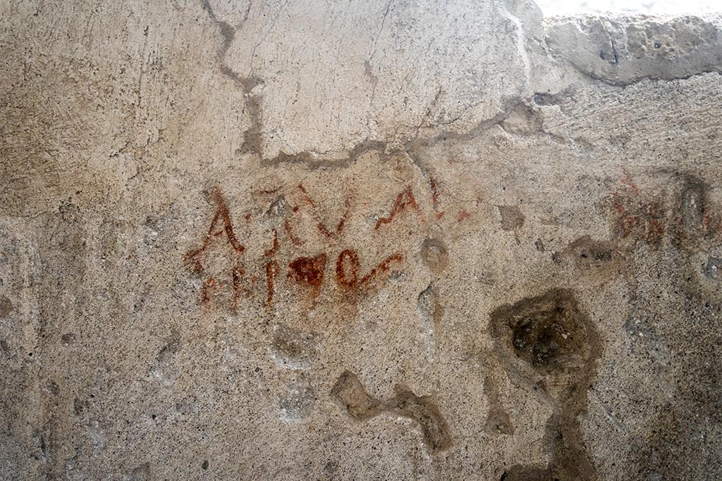 IX.10.1, Pompeii. July 2024. Room 12, detail of electoral recommendation from west wall. Photo courtesy of Johannes Eber.