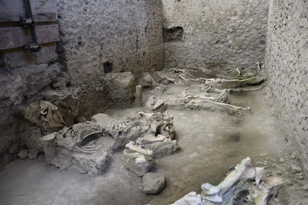 IX.12.8 Pompeii. February 2017. Looking north across stable “n”, with skeletons of mules or donkeys. Photo courtesy of Johannes Eber.