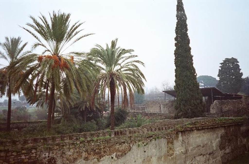 HGW24 Pompeii. September 2007. Looking north-east across garden from south-west corner. Photo courtesy of Rick Bauer.