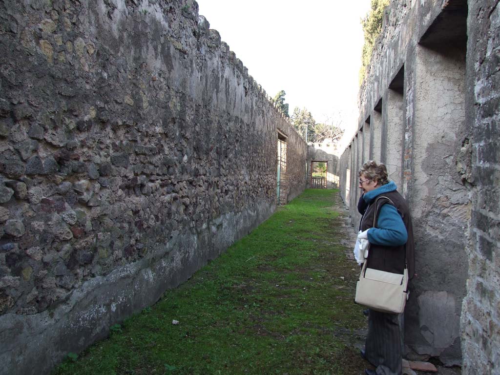 HGW24 Pompeii. December 2006. Looking north along west portico. 
In the cellar below the west portico of the garden, nos. 81 and 82 from the La Vega plan were found at this end of it, towards the south-west corner.
However, there appear to be two no.81’s shown on the plan. 
This no.81 would seem to be from 9th December 1773, and from the west side of the cellar below the garden area, and said –
From PAH, addendum, p.131 – 
Relazione delle antichita, che si vanno ritrovando nella masseria del sig. D. Giovanni Milano parsonaro, che si era principiata al di 14 Febbraro 1771. (Report of Antiquities found.....)
 “No.81. nella stessa date. Si e ritrovata una sciva di bronzo, e tra la terra levata di quel sito si sono trovate tre monete, due di diam. on.1, e l’altra di min. 3 e mezza, che per la ruggine non si distinguono. Un pezzo di sciva, il tutto di bronzo. Ed un bottone di vetro.”
(No.79 was dated 9th December 1773 and no.80 (as no.81) was said to be from the same date).
(The other no.81, shown on PAH addendum, p.160 – dated 25th June 1774 would seem to fit in with the dates when the surrounding rooms to it were excavated – but no further details are shown. It was from the corridor at the south end of the east portico of the garden area).

From PAH 1,1, p.276, 8th January 1774: addendum p.131 and p.159 
In the present week, we have worked in the cellar of the dwelling outside the Gate of the city.
From PAH, addendum, p.131 – 
Relazione delle antichita, che si vanno ritrovando nella masseria del sig. D. Giovanni Milano parsonaro, che si era principiata al di 14 Febbraro 1771. (Report of Antiquities found.....)
 “No. 82. A di 5 gennaio 1774. Si e trovato un pezzo di serratura di bronzo.”

