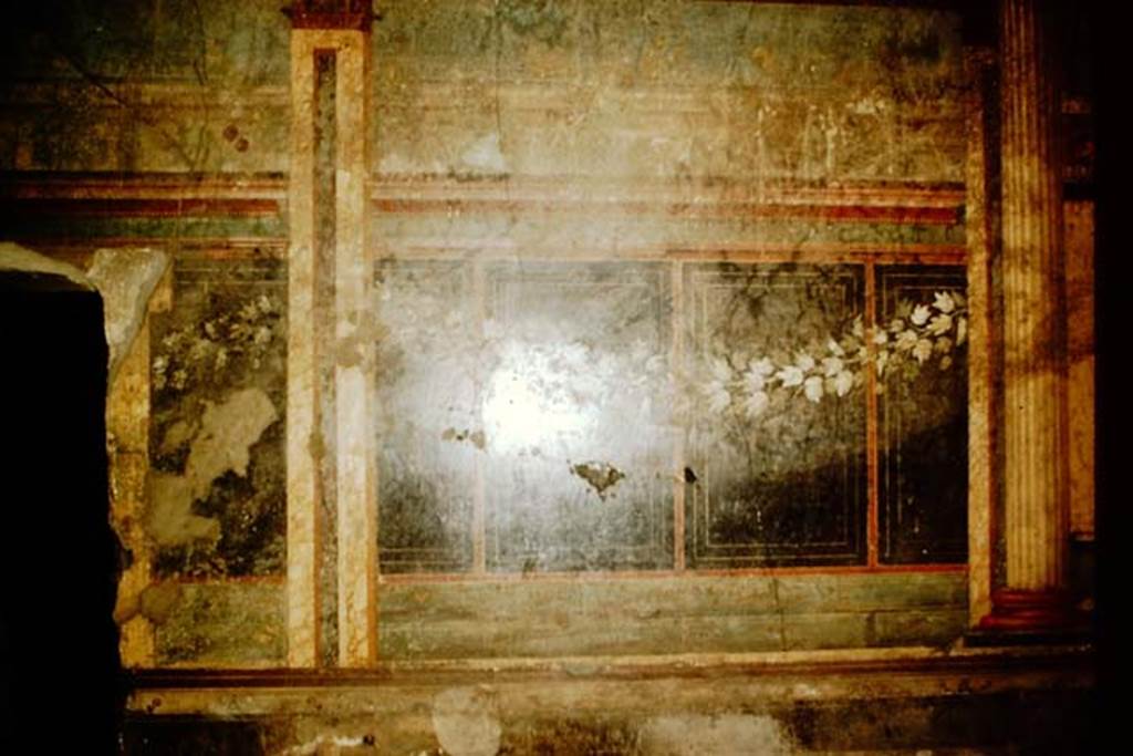 Villa of Mysteries, Pompeii. 1957.  Room 6, detail of painted garland on west wall. Photo by Stanley A. Jashemski.
Source: The Wilhelmina and Stanley A. Jashemski archive in the University of Maryland Library, Special Collections (See collection page) and made available under the Creative Commons Attribution-Non Commercial License v.4. See Licence and use details.
J57f0382
