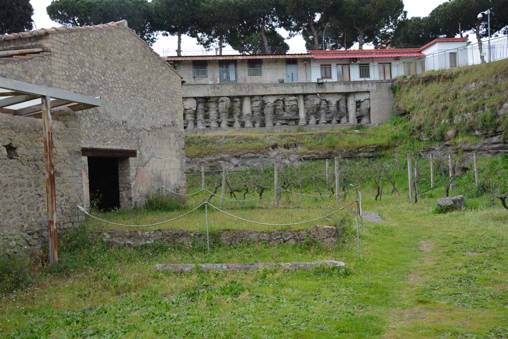 Villa Regina, Boscoreale. April 2017. Looking north towards threshing terrace, on east side.
Photo courtesy Adrian Hielscher.
