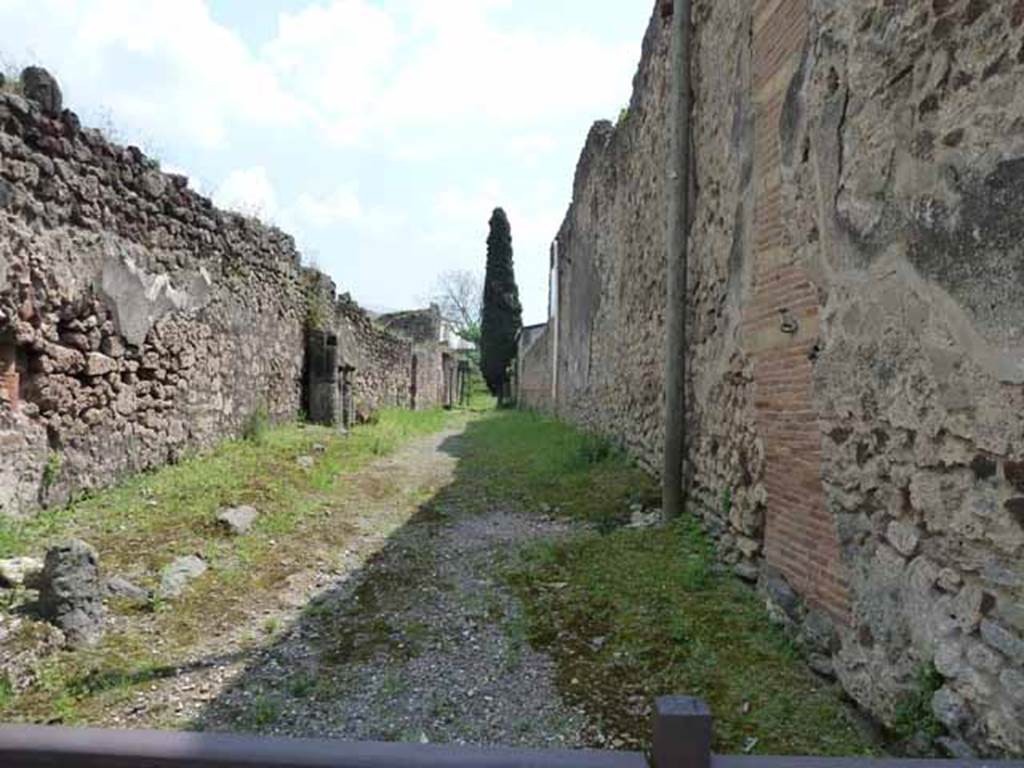 Unnamed vicolo between IX.9 and IX.8. IX.9 on left. May 2010. Vicolo looking south. Side wall of IX.8.7 on right.