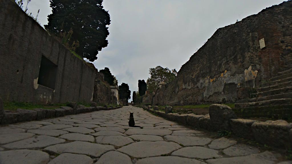 Via dei Sepolcri, Pompeii. 2016/2017. 
Looking south from near Villa of Diomedes, steps on right. Photo courtesy of Giuseppe Ciaramella.
