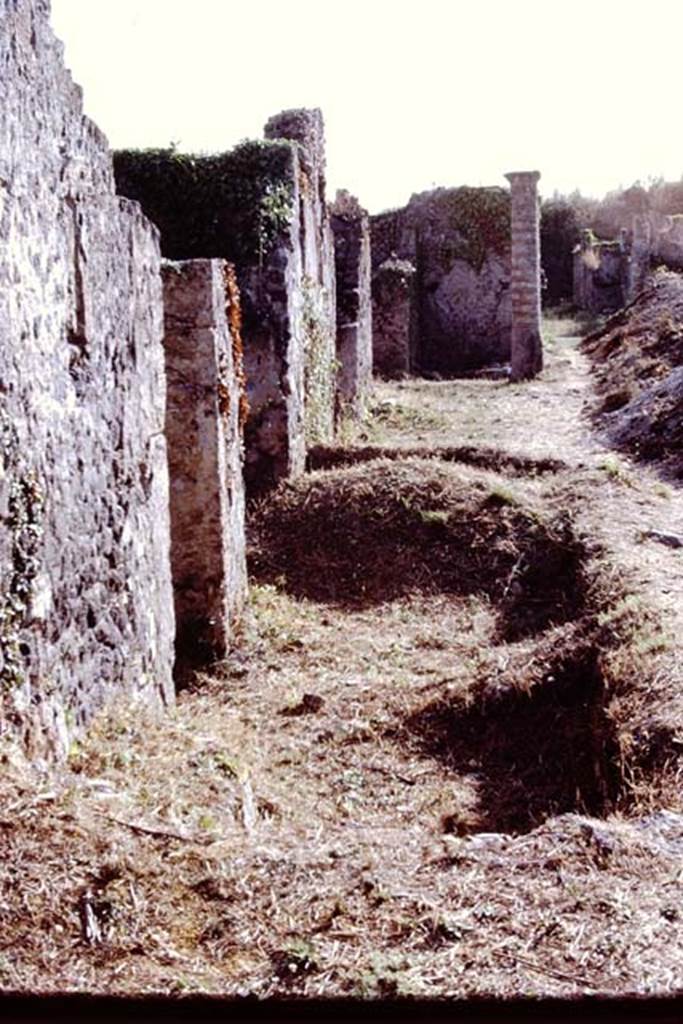 Via della Palestra, Pompeii. 1972. Looking west along north side of I.21.  Photo by Stanley A. Jashemski. 
Source: The Wilhelmina and Stanley A. Jashemski archive in the University of Maryland Library, Special Collections (See collection page) and made available under the Creative Commons Attribution-Non Commercial License v.4. See Licence and use details. J72f0577
