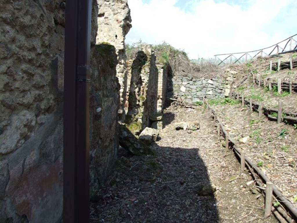 Vicolo dei Gladiatori. Looking north from V.4.12 to northern end of vicolo. March 2009.