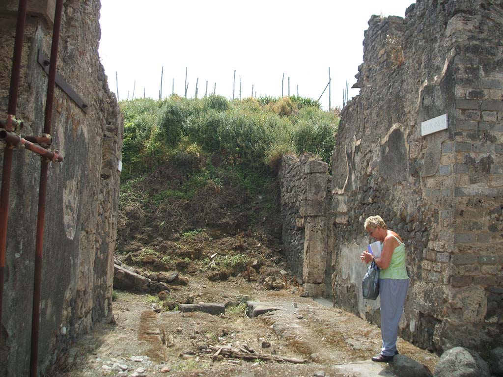 Vicolo del Centenario. May 2005. Looking south into the unexcavated area. 
