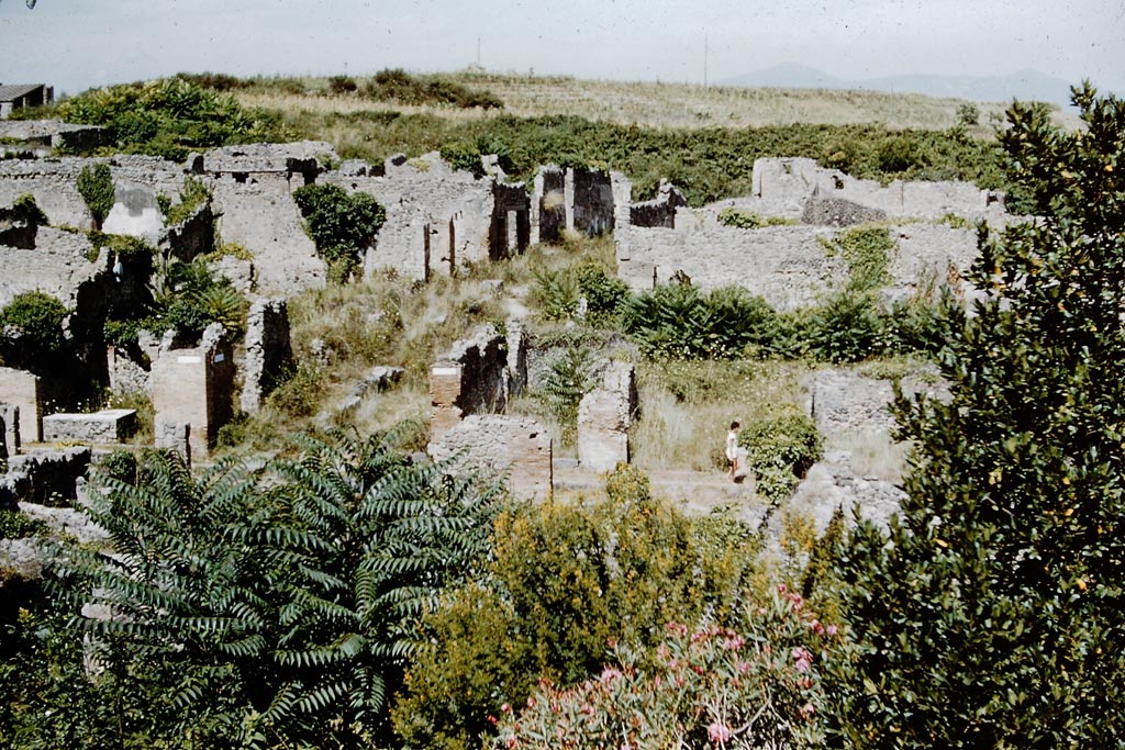 Vicolo del Conciapelle between I.2 and I.1, centre left in photo. 1959. 
Looking east from above the Via Stabiana. Photo by Stanley A. Jashemski.
Source: The Wilhelmina and Stanley A. Jashemski archive in the University of Maryland Library, Special Collections (See collection page) and made available under the Creative Commons Attribution-Non Commercial License v.4. See Licence and use details.
J59f0275
