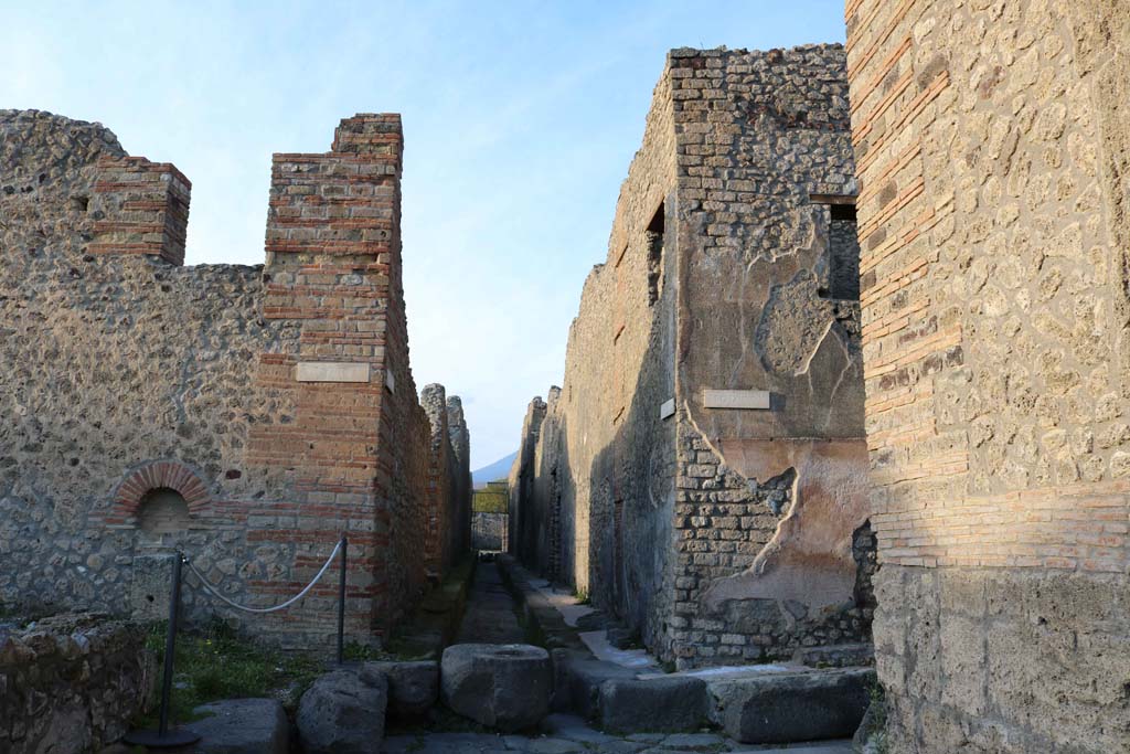 Vicolo di Tesmo, Pompeii. December 2018. Looking north between IX.4, on left, and IX.5, on right. Photo courtesy of Aude Durand.