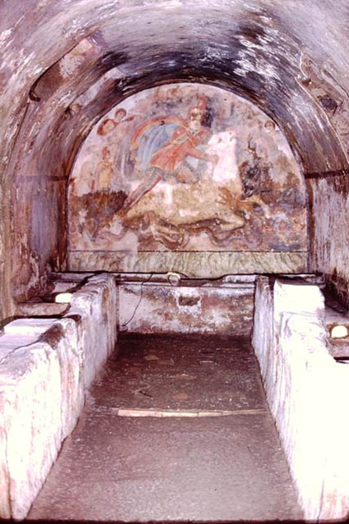 Santa Maria Capua Vetere, Mithraeum. 1974. West wall with tauroctony fresco in the Mithraeum, 2nd century. 
Photo by Stanley A. Jashemski.   
Source: The Wilhelmina and Stanley A. Jashemski archive in the University of Maryland Library, Special Collections (See collection page) and made available under the Creative Commons Attribution-Non-Commercial License v.4. See Licence and use details.
J74f0577

According to Jashemski, in 1973, “After a delightful lunch under the trees at an outdoor trattoria, we made our way to Capua, where Giuseppina had a fine surprise for us. Little boys playing in the area had come upon an opening that led into a practically intact underground Mithraeum, a small temple of the 2nd 3rd century A.D., where the rites connected with the worship of Mithras were celebrated. The small temples of this god were artificial caves, reminders of the cave in which Mithras caught and slew the mystic bull. They had a "nave" and on each side of a central aisle were benches on which the worshippers reclined at sacred banquets; at Capua, after the benches, there were basins on each side of the aisle, used in the initiation ceremonies. Opposite the entrance, in the front of every Mithraeum, was a depiction of the tauroctony [Mithras killing the bull], more often carved, but at Capua, painted. The painting at Capua showed two standing assistants, one with his torch up, the other with his torch down, on either side of Mithras, who knelt on the back of the bull, as he, with averted gaze, plunged a knife into the bull's shoulder. A dog and a snake lap up the life giving blood. The head on the lower left represented a personification of the Sea, the one on the right, the Earth, above was Diana, personifying the moon and Helios, the sun. On the sides of the Mithraeum, partially destroyed painted panels depicted the rites of initiation into this mystery cult, whose devotees were men, especially soldiers.” 
See Jashemski W. F., 2014. Discovering the Gardens of Pompeii: The Memoirs of a Garden Archaeologist 1955 – 2004, p. 223-4.

Vermaseren notes that it might be suspected that the destruction of Mithras’ face was caused on purpose by his antagonists. According to a custodian however, they had been inflicted by playing children. (31.1.1947). 
See Vermaseren M. J., 1971. Corpus Inscriptionum et Monumentorum Religionis Mithriacae, p. 107.
