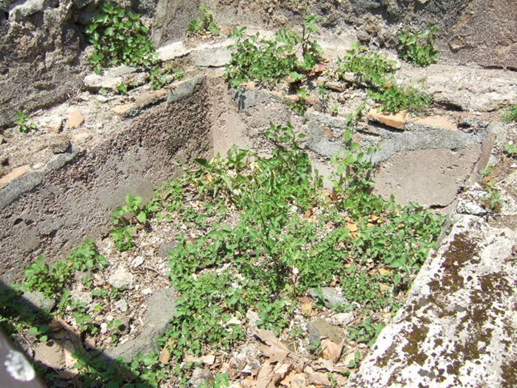 Fig. 10  Zenithal view of the paved road intercepted between the portico and via dei Sepolcri in front of the N20a fountain.
Photo: B. Lemaire-EFR.
In front of the fountain, a paved path whose axis diverges appreciably from the current via dei Sepolcri, was found about 0.40 m below the level of the embankment which, from the current path, rises slightly to the level circulation of the gantry (fig. 10). It is quite probable that this road, whose pavement clearly bears the marks of recharging and repairs, is to be related to a segment of paved road discovered a few metres further upstream, in front of the HGE14 shop (fig. 11). The two segments are paved with basalt slabs of dimensions appreciably smaller than those of the way in use in 79.

Fig. 10  Vue znithale de la voie dalle intercepte entre le portique et la via dei Sepolcri devant la fontaine N20a.
Clich : B. Lemaire-EFR.
Devant la fontaine, une voie dalle dont laxe diverge sensiblement de lactuelle via dei Sepolcri, a t retrouve  environ 0,40 m sous le niveau du talus qui, depuis la voie actuelle, monte en lgre pente jusquau niveau de circulation du portique (fig. 10). Il est assez probable que cette voie, dont la chausse porte clairement des marques de recharges et de rfections, soit  mettre en relation avec un segment de voie dalle dcouvert quelques mtres plus en amont, devant la boutique HGE14 (fig. 11). Les deux segments sont pavs avec des dalles de basalte de dimensions sensiblement infrieures  celles de la voie en usage en 79.

See Pompi, Porta Ercolano : organisation, gestion et transformations dune zone suburbaine : Campagne 2016. CEFR 1676
