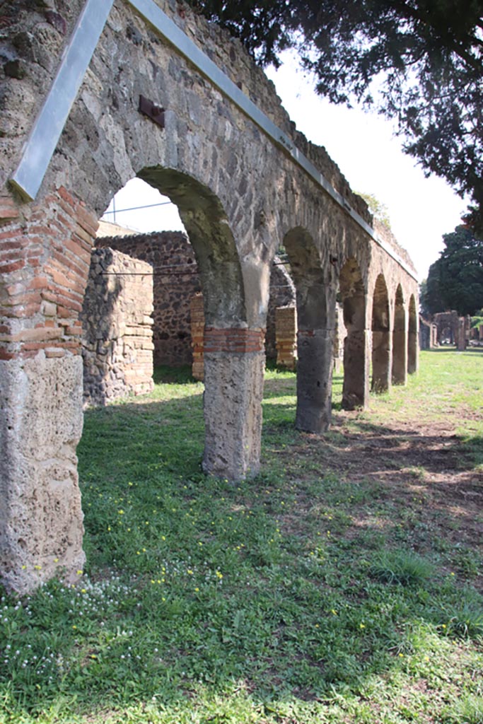 HGE29 Pompeii. October 2023. Looking south along exterior colonnade. Photo courtesy of Klaus Heese.