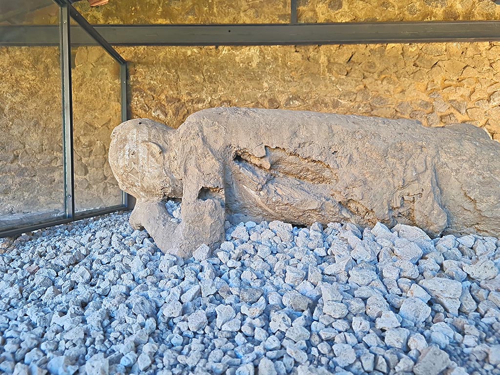 North-west side of Via delle Tombe. October 2024. Detail from plaster cast. Photo courtesy of Giuseppe Ciaramella.