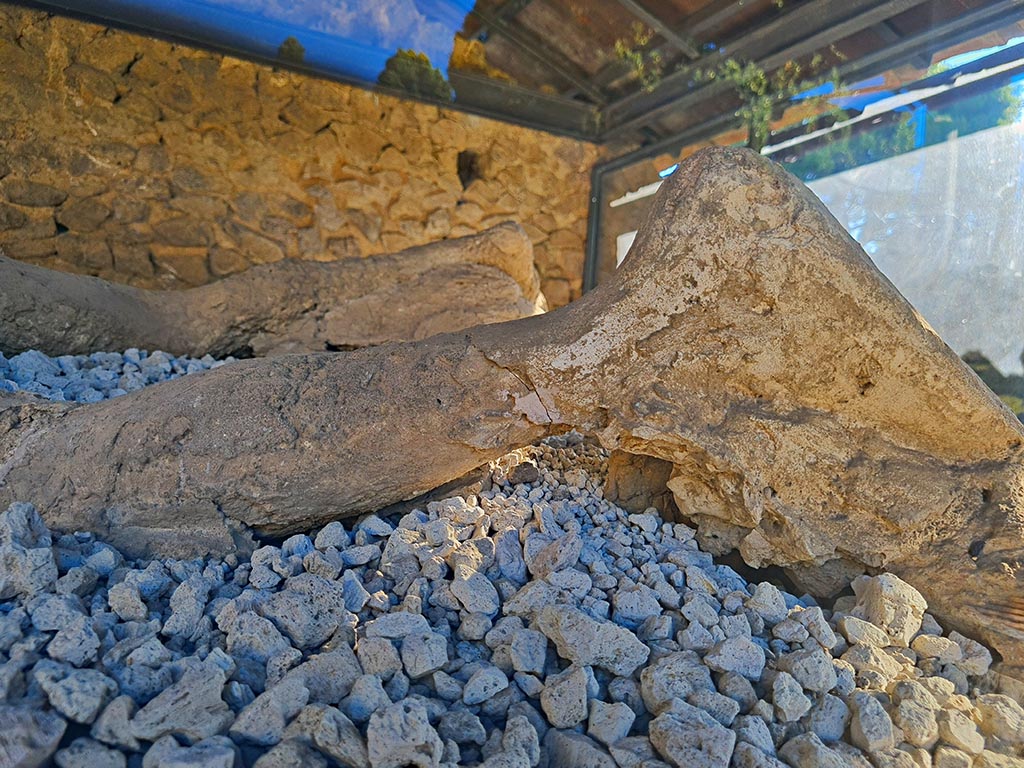 North-west side of Via delle Tombe. October 2024. Detail from plaster cast. Photo courtesy of Giuseppe Ciaramella.