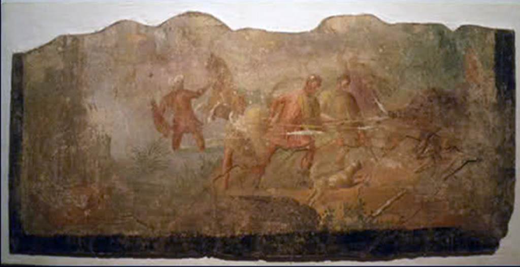 Gragnano. Rustic villa by the Strada Statale 145 Sorrentina. Room 4, triclinium, centre of south wall. Boar Hunt. 
Possibly repeating the mythical scene of Meleager hunting the boar.
Stabia Antiquarium inventory number 66656. See Otium Ludens, curated by Guzzo, P, Bonifacio, G, and Sodo, A.M. (2007). Castellammare di Stabia: Nicola Longobardi, p. 174.
