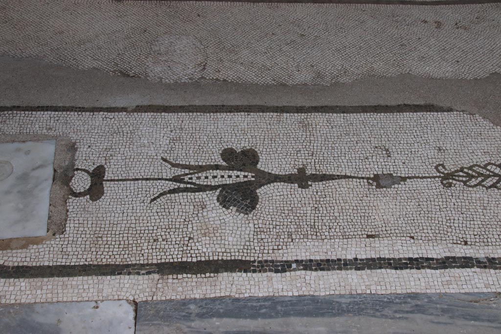 Oplontis Villa of Poppea, May 2024.  
Room 21, detail of threshold between two columns, from centre of north side of large room at east end. Photo courtesy of Klaus Heese.
