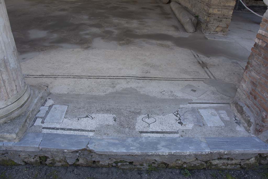 Oplontis Villa of Poppea, March 2019. 
Room 21, looking south towards doorway threshold from west (right) side between column and pilaster of large room.
Foto Annette Haug, ERC Grant 681269 DÉCOR.
