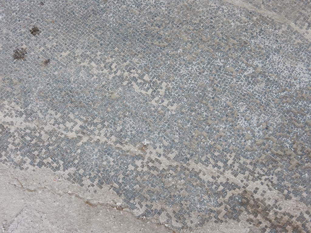 Stabiae, Secondo Complesso, June 2019. Room 17, mosaic flooring. Photo courtesy of Buzz Ferebee.