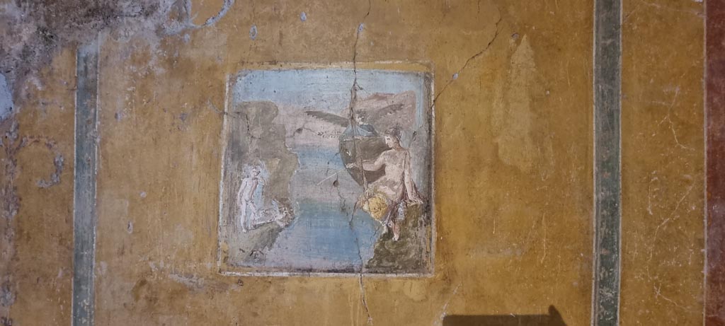 II.9.4 Pompeii. December 2023. 
Room 8, wall painting of Venus Pescatrice - “Venus fishing” from central panel of south wall. Photo courtesy of Miriam Colomer.
