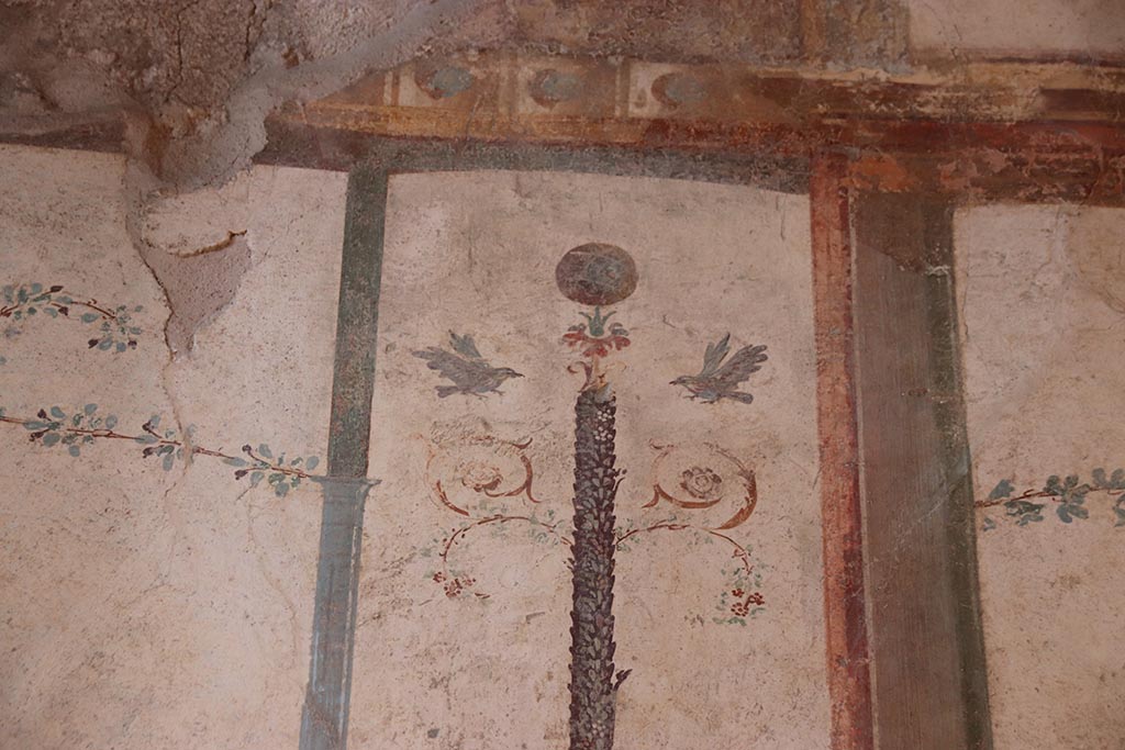 VI.15.1 Pompeii. October 2024. Cubiculum g, detail from top of painted candelabrum on west wall. Photo courtesy of Klaus Heese.