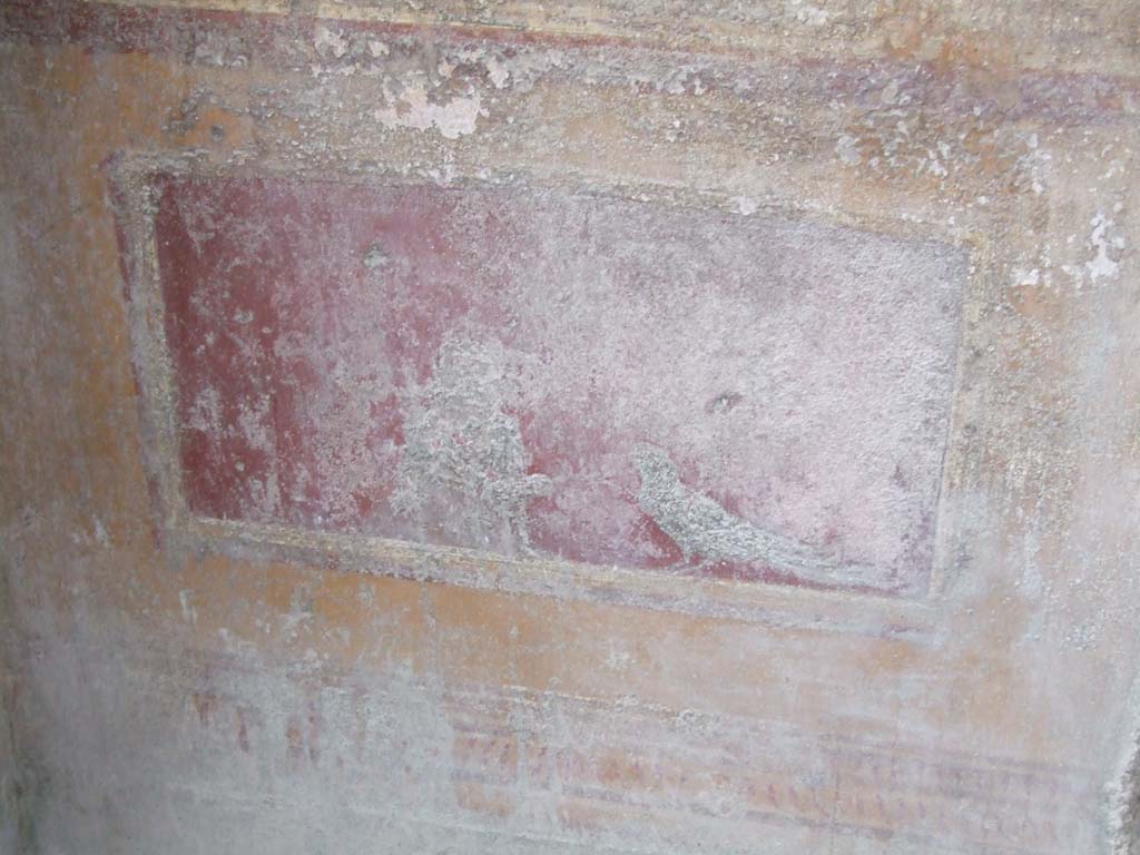 VI.15.1 Pompeii. December 2006. Wall painting with bird, on lower wall in atrium to north of doorway to bedroom.