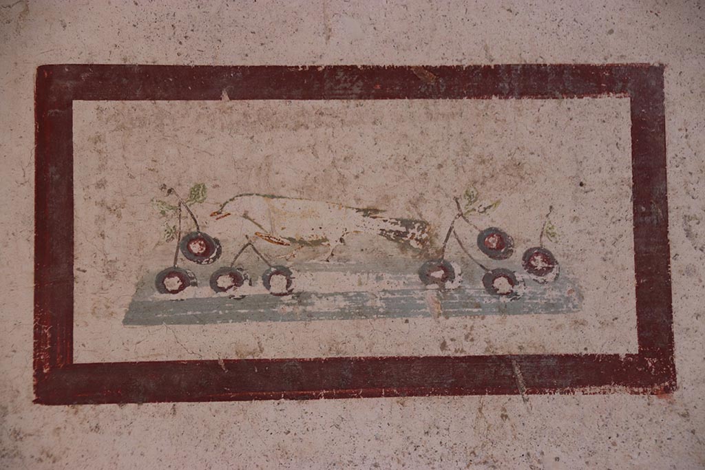 VI.15.1 Pompeii. October 2024. 
Cubiculum k, painted panel of bird with cherries from west end of south wall. Photo courtesy of Klaus Heese.
