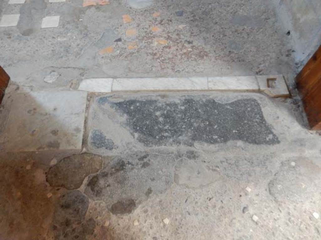 VI.15.1 Pompeii. May 2017. Threshold and flooring between atrium and oecus.
Photo courtesy of Buzz Ferebee.
