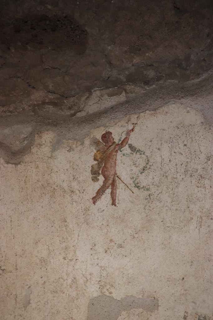 VI.15.1 Pompeii. October 2024. 
Room (f), painted cupid from south wall at east end. Photo courtesy of Klaus Heese.
