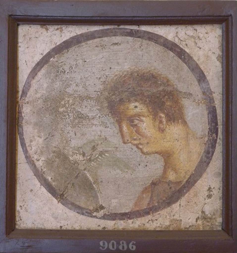 HGW06 Pompeii.  Found 25th October 1760 in Villa of Cicero.  Round painted portrait panel of a female figure with a bird in front of her.  Now in Naples Archaeological Museum.  Inventory number 9086. See Prisciandaro, R., 2006. Studio sulle provenienze degli oggetti rinvenuti negli scavi borbonici del regno di Napoli: Una lettura integrata, coordinata e commentata della documentazione Volume 1.  Naples : Nicola Longobardi.  (p.36).