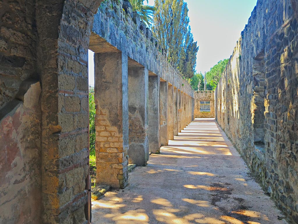 Villa of Diomedes, Pompeii. March 2024. Looking west along north portico. Photo courtesy of Giuseppe Ciaramella.